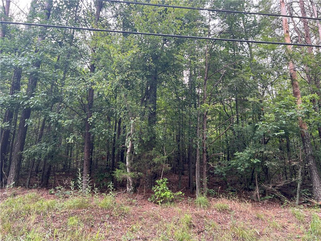 119 Kirk Road NW