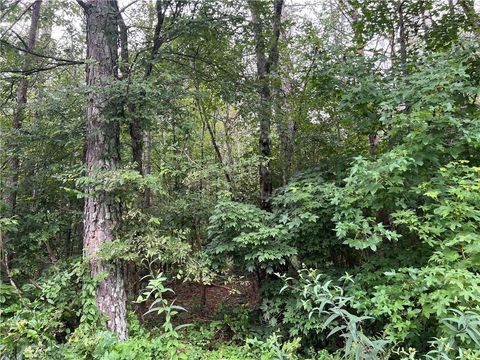 Vacant Land For Sale - 119 Kirk Road<br/> White, GA 30184