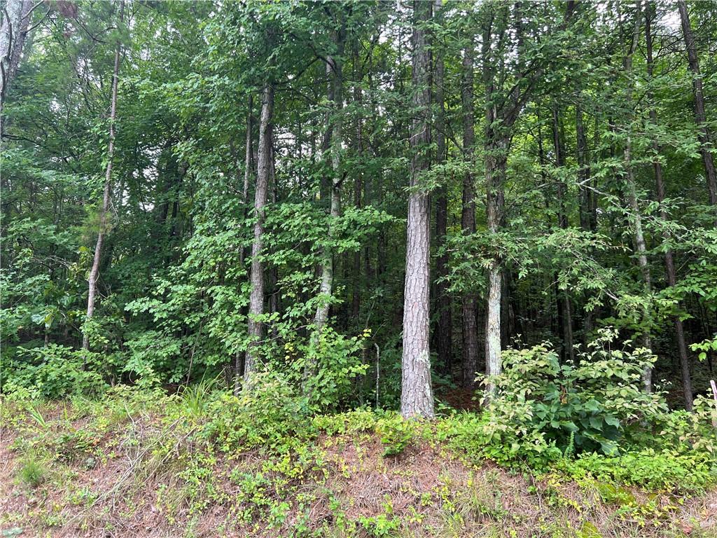119 Kirk Road NW