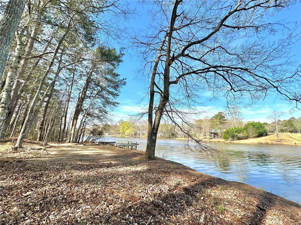 123 Wildwood Drive, Temple, Georgia image 35