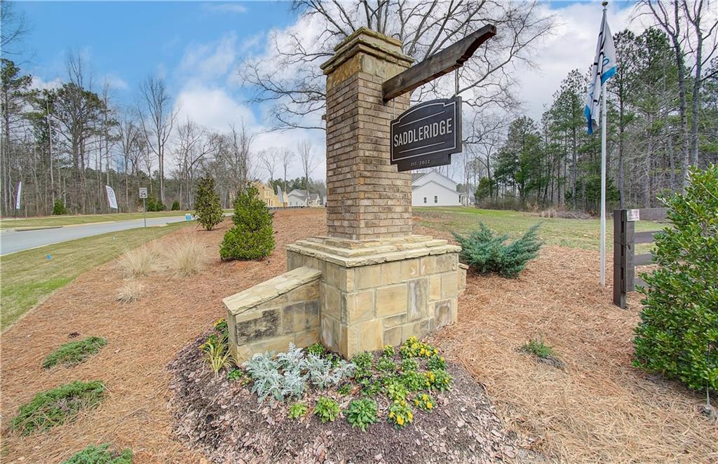 71 Homesite Slick Court, Senoia, Georgia image 41