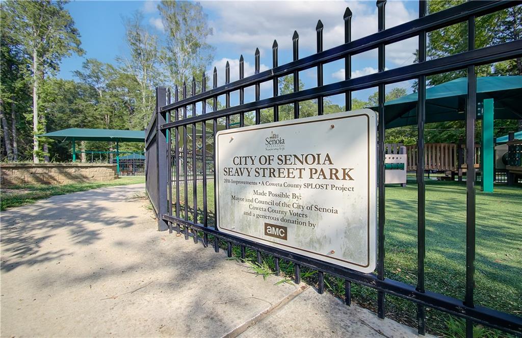 71 Homesite Slick Court, Senoia, Georgia image 38