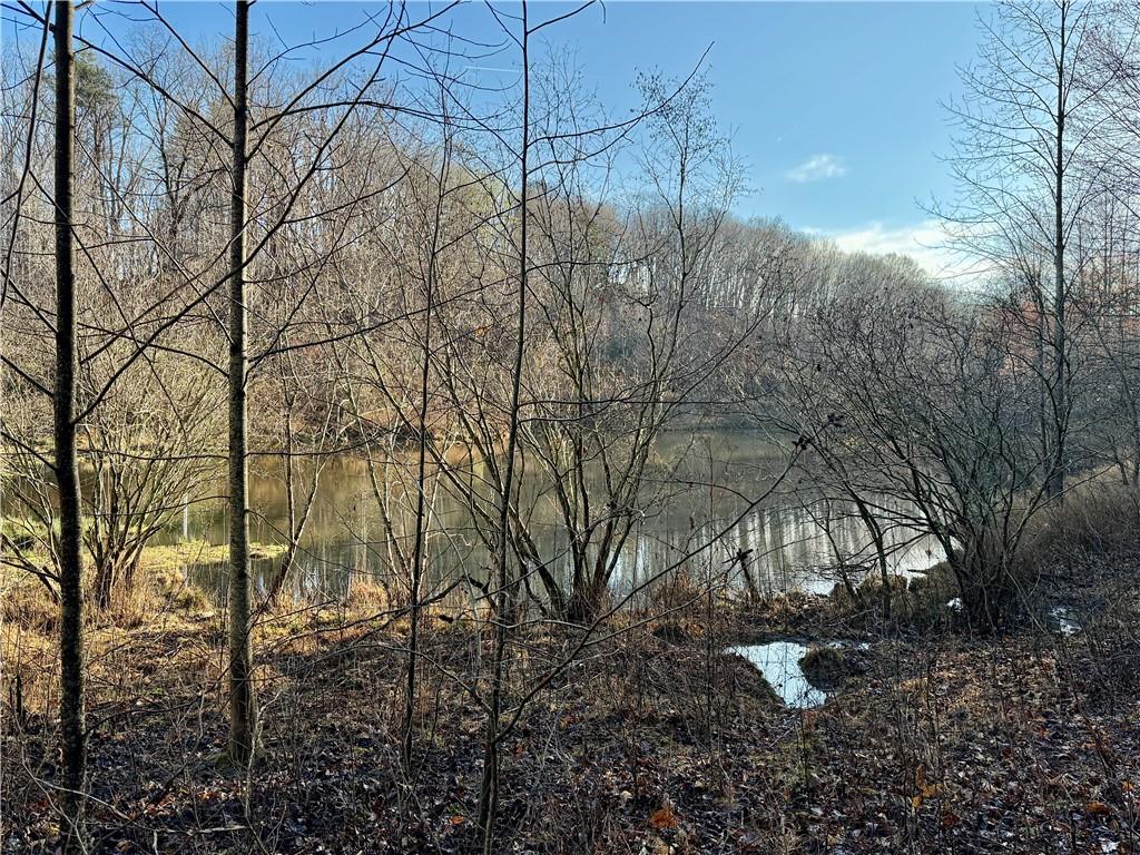 1565 Shoal Creek Road NW