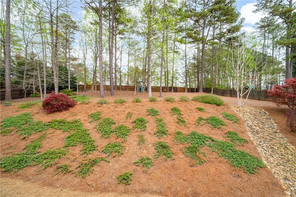 111 Glen Trail, Woodstock, Georgia image 46