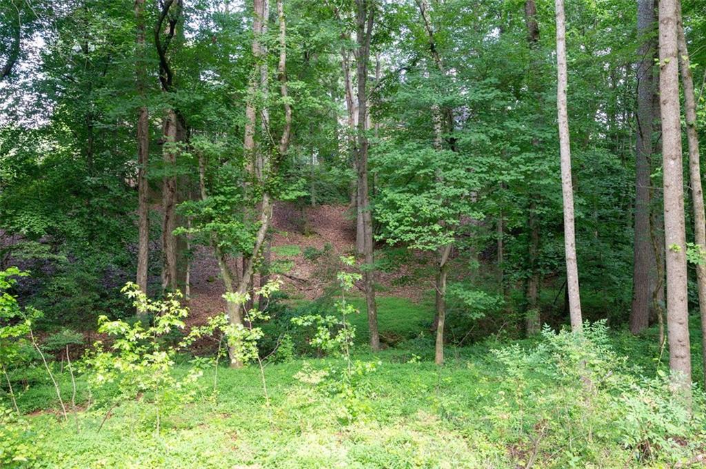 Saddle Brook - Residential