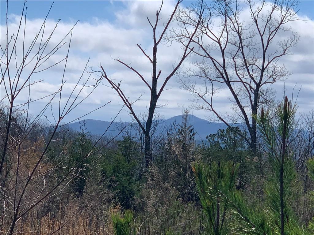 Jones Mountain Road, Talking Rock, Georgia image 1
