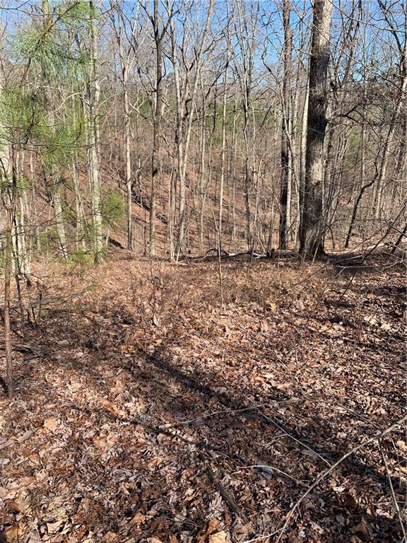 Jones Mountain Road, Talking Rock, Georgia image 5