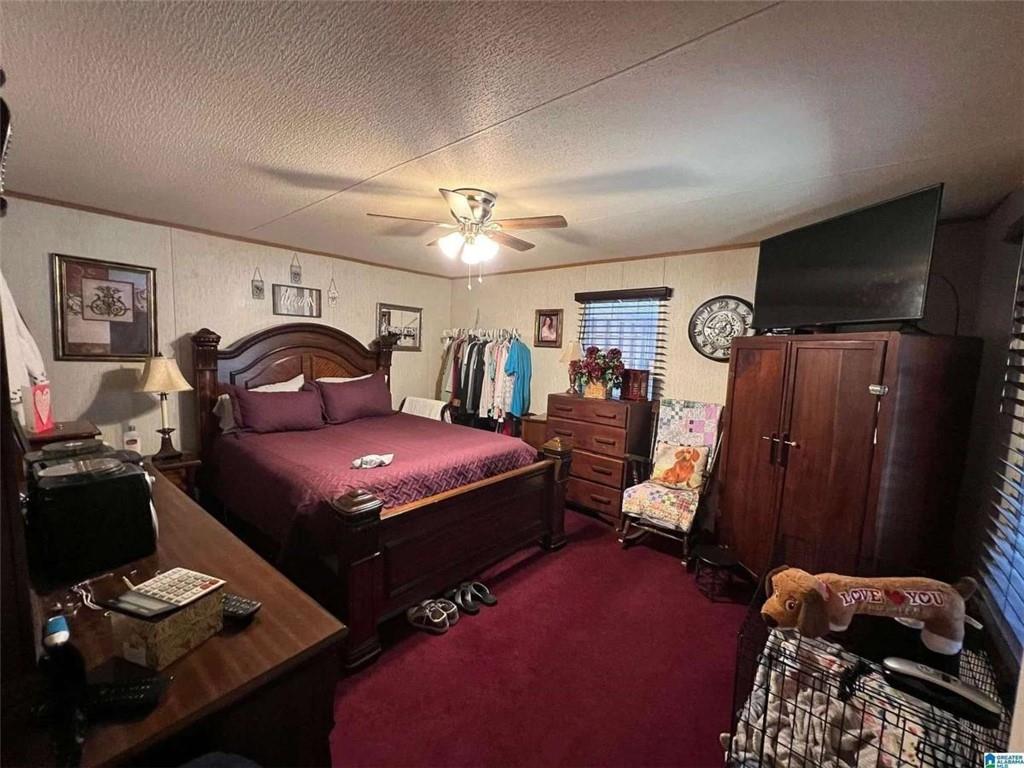163 County Road 216, Other-Alabama, Alabama image 10