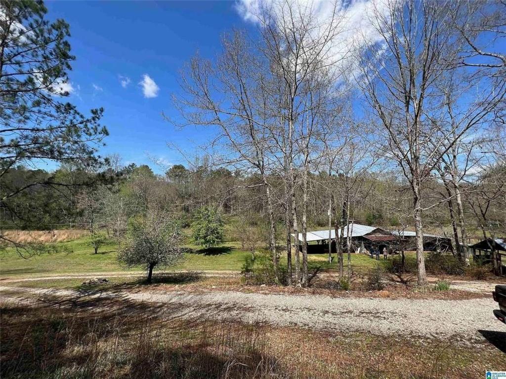 163 County Road 216, Other-Alabama, Alabama image 4