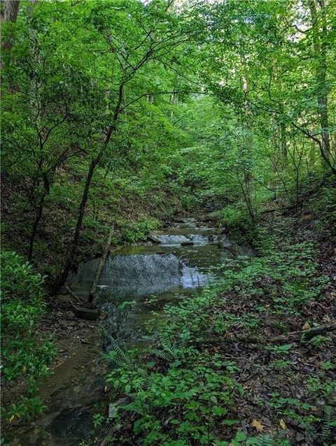 Vacant Land For Sale - 772 Naomi Court<br/> Gordon County, Ranger, GA 30734