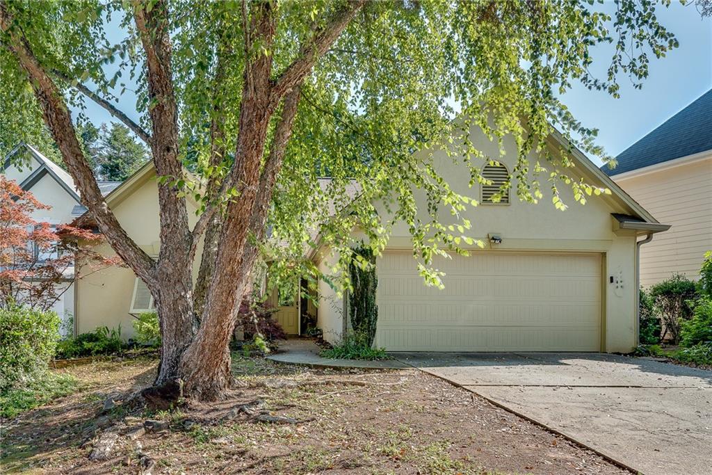 225 Morton Creek Cir