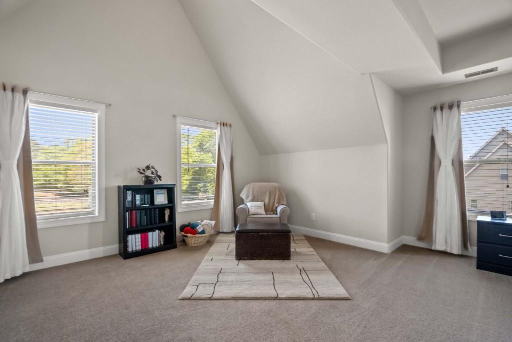 152 Palomino Drive, Newnan, Georgia image 33