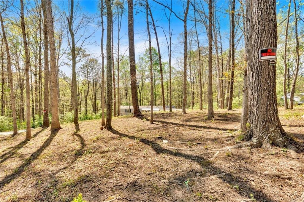 214 Refuge Valley Road, Jasper, Georgia image 27