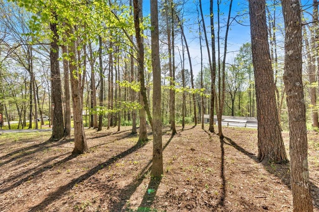 214 Refuge Valley Road, Jasper, Georgia image 28