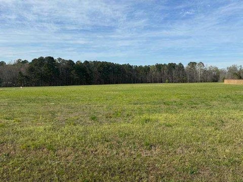 Vacant Land For Sale - County Road 580<br/> Centre, AL 35960