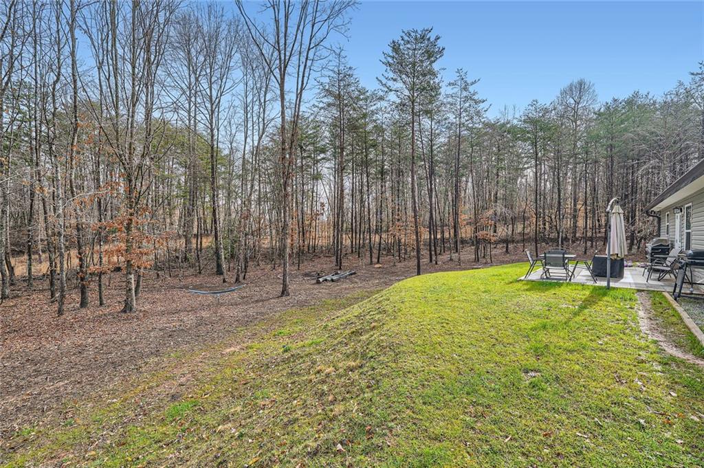 20 Silver Fox Court, Dahlonega, Georgia image 29