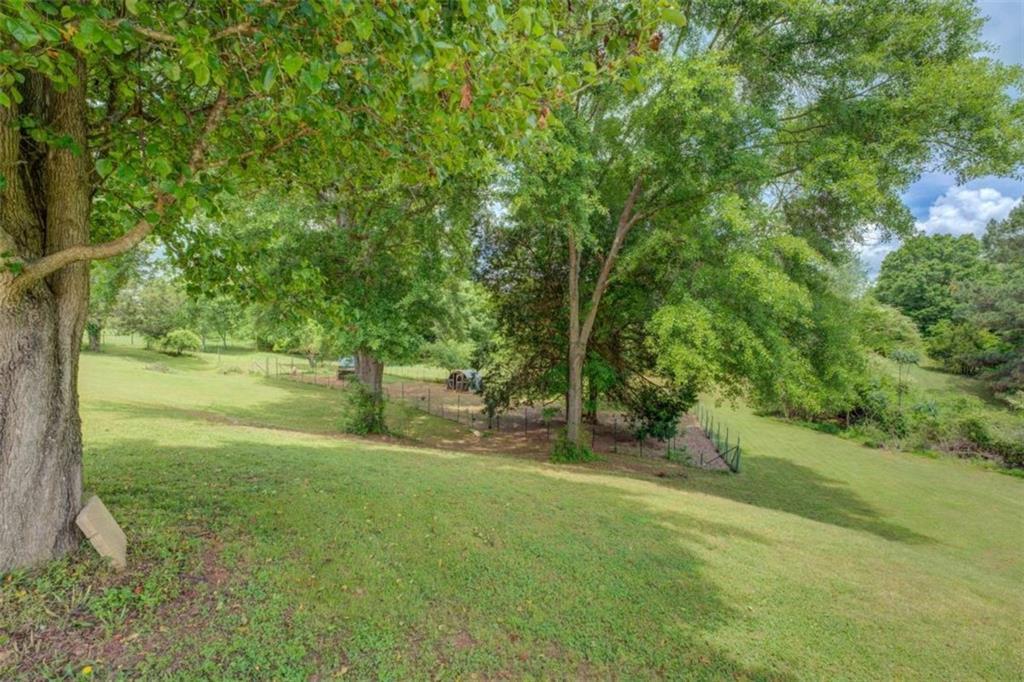 75 Puppy Chase, Social Circle, Georgia image 6
