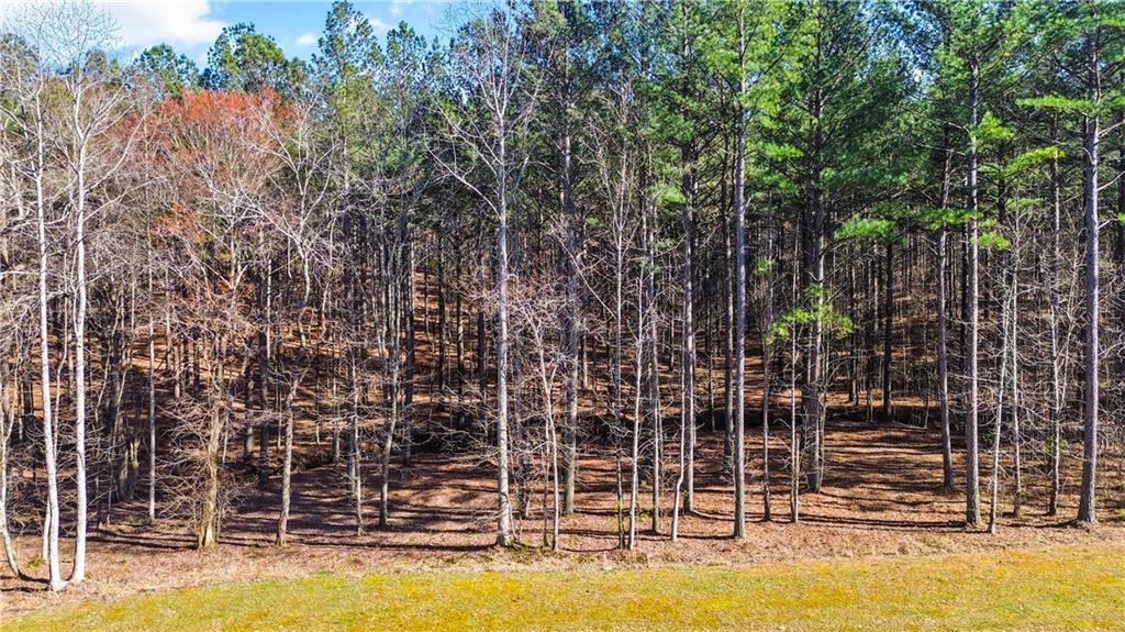 Deyton Drive, Blairsville, Georgia image 7