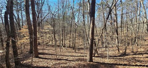 Vacant Land For Sale - 00001 Friendship Trail<br/> Talking Rock, GA 30175