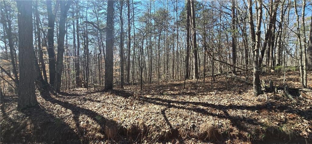 00001 Friendship Trail