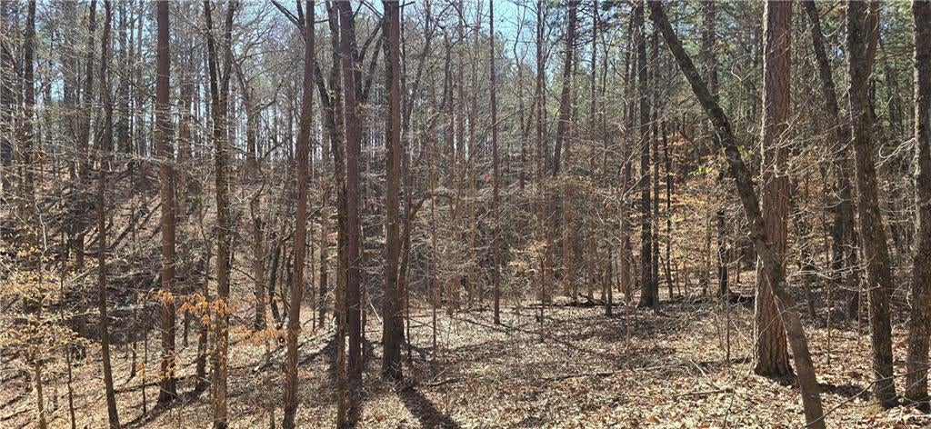 00001 Friendship Trail