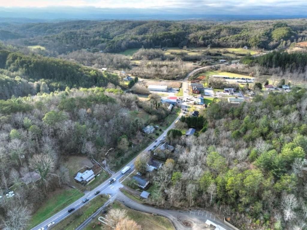 8679 Lakewood Highway, Mineral Bluff, Georgia image 9