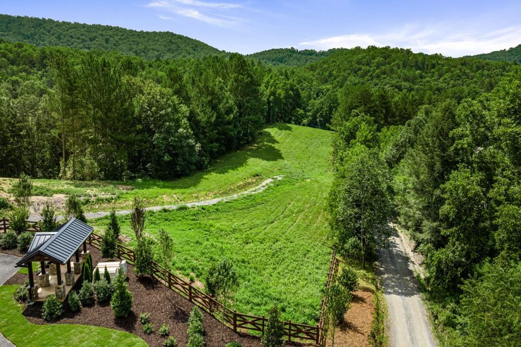 Lot 2 Waterstone, Mineral Bluff, Georgia image 9