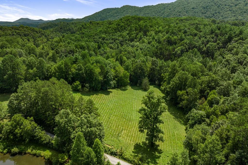 Lot 2 Waterstone, Mineral Bluff, Georgia image 3