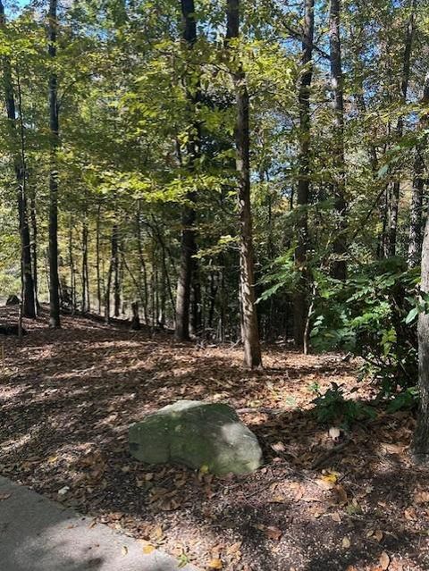 18 W Wesley Ridge Atlanta GA 30327