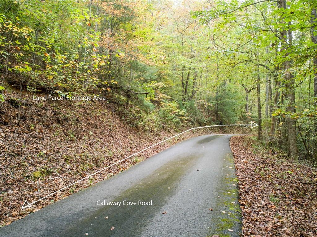 Calloway Cove, Hiawassee, Georgia image 3