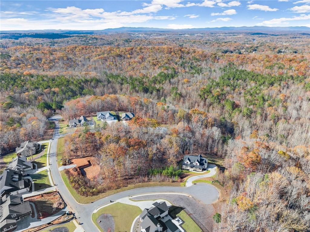 6415 Tranquility Manor Road, Dawsonville, Georgia image 9