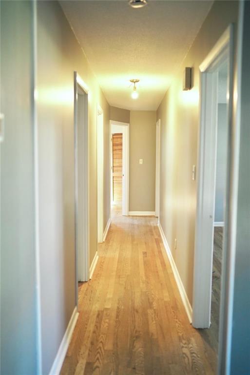 125 Sycamore Drive, Athens, Georgia image 32