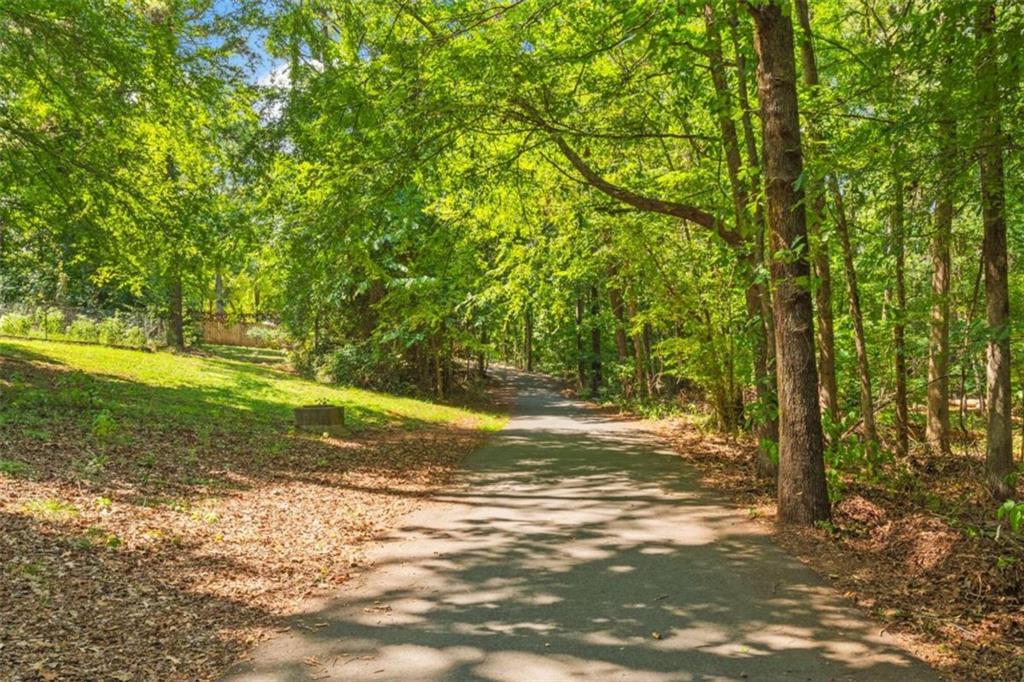 118 Planterra Way, Peachtree City, Georgia image 45