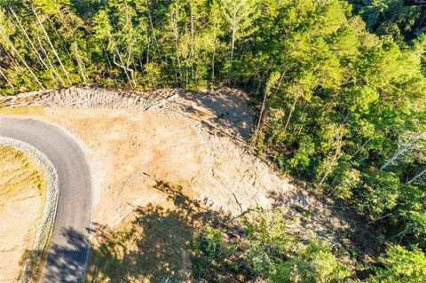 Vacant Land For Sale - Canoe Point<br/> Ellijay, GA 30540