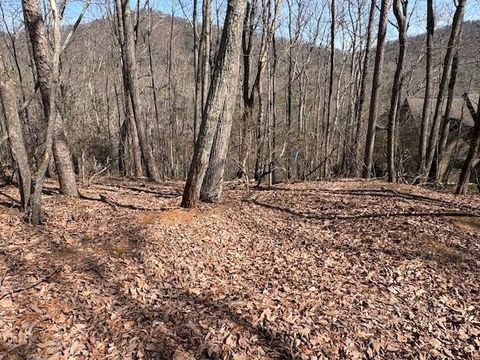 1150 Swallow Point Big Canoe GA 30143