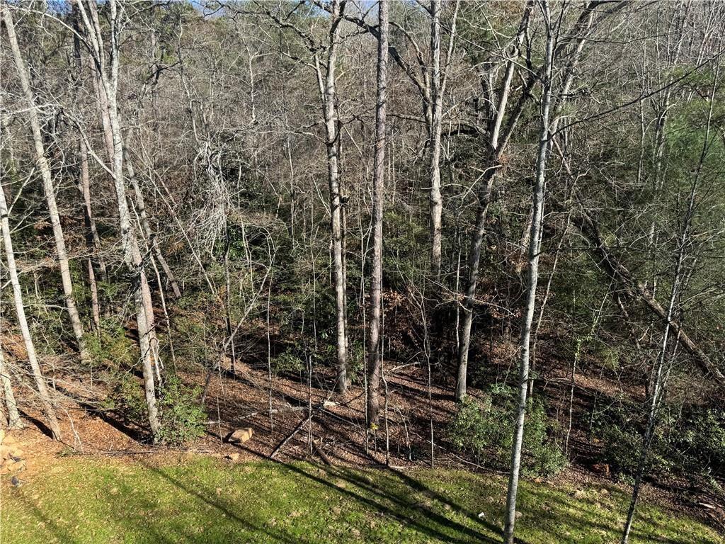 554 Wauka Drive, Demorest, Georgia image 35