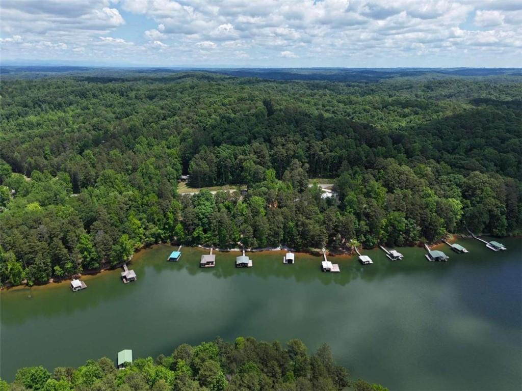 1224 Lakeside Trail, Martin, Georgia image 9