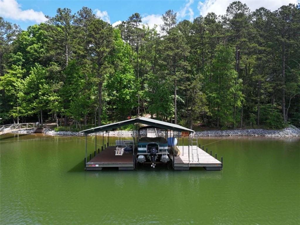 1224 Lakeside Trail, Martin, Georgia image 7