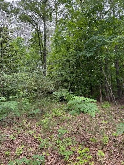 Atlanta, Georgia 30314, United States, 3 Bedrooms Bedrooms, ,1 BathroomBathrooms,Residential,Active,131673