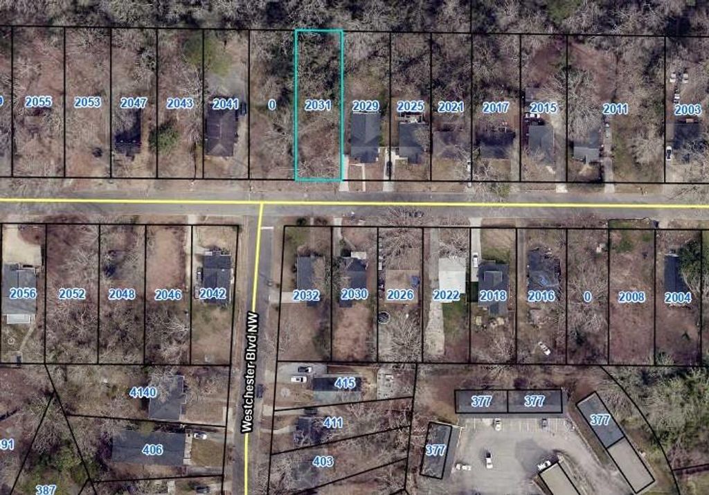 Photo of 2031 Detroit Avenue NW, Atlanta, GA 30314 (MLS # 7729079)