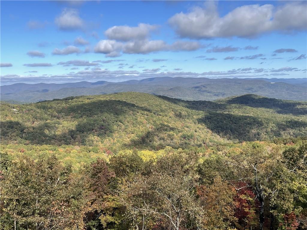 Lot 04 Upper Sassafras Parkway, Jasper, Georgia image 3