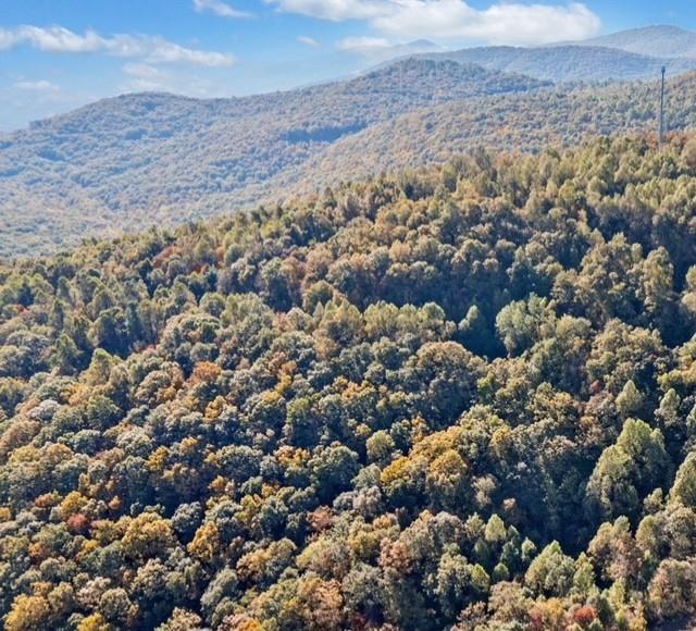 Lot 04 Upper Sassafras Parkway, Jasper, Georgia image 5