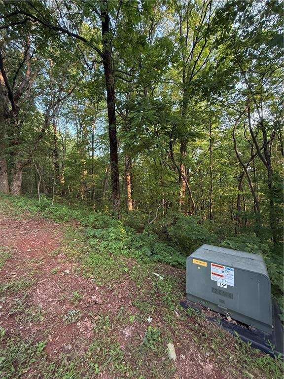 Lot 04 Upper Sassafras Parkway, Jasper, Georgia image 6