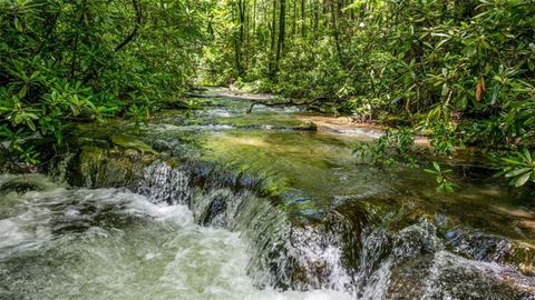 10323 OLD CCC CAMP ROAD Road Ellijay GA 30540