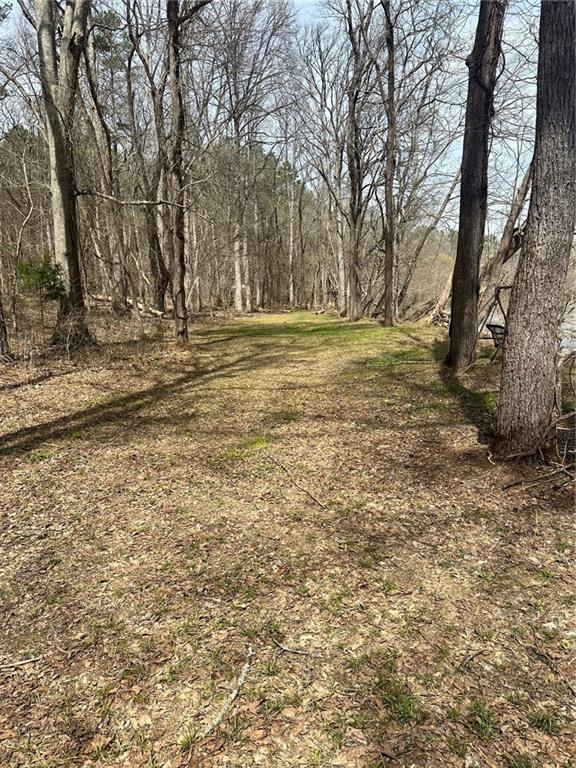 000 Weissinger Road, Kingston, Georgia image 4