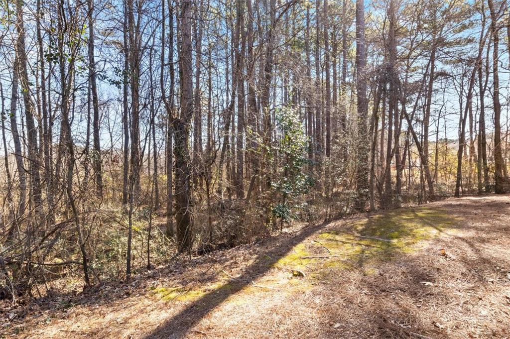 849 Hillandale Lane, Lithonia, Georgia image 27