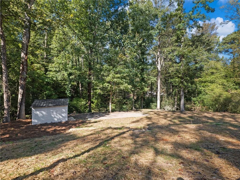 3563 Denby Drive, Snellville, Georgia image 6