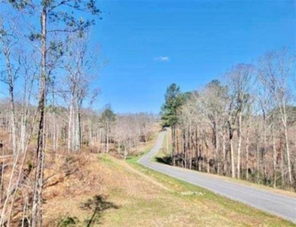 239 Lecroy Drive, Ellijay, Georgia image 6