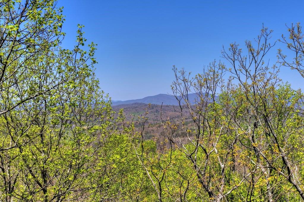 1073 Old Burnt Mountain Road