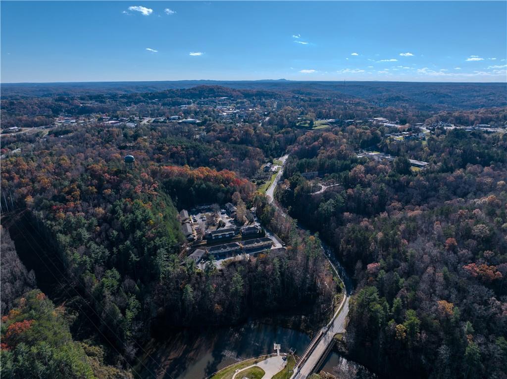 Timberlane Drive, Dahlonega, Georgia image 7